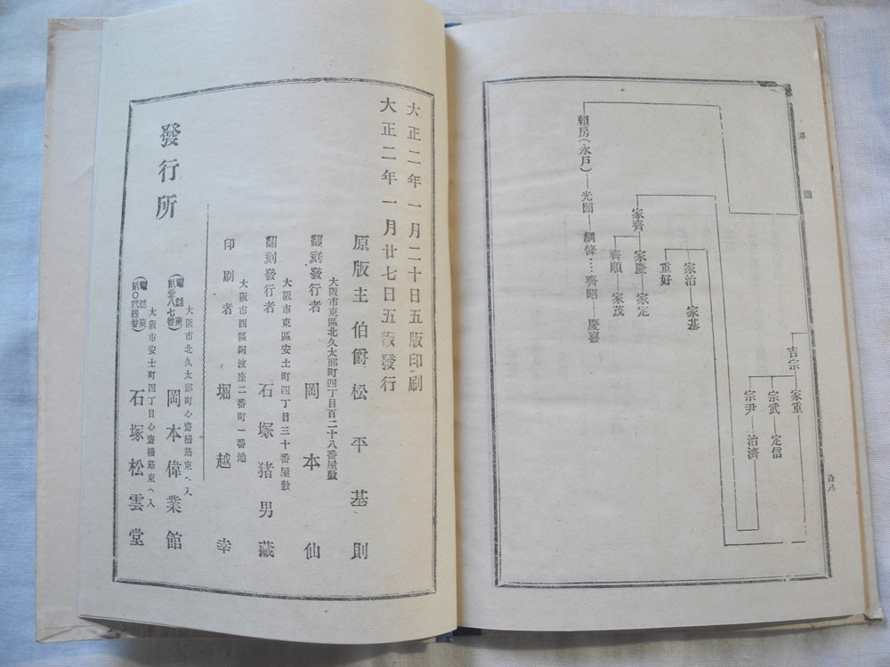 Japanese old book Nihon Gaishi Jiten 日本外史字典 printed in Taisho era 1913 Kanbun